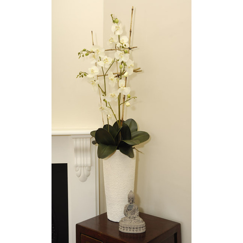 Silk Phalaenopsis Orchid Arrangement