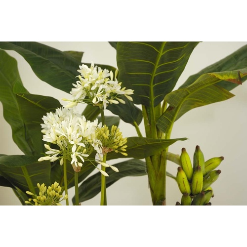 Silk Plants TEST NOT FOR SALE